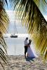 Durch die Palmen eine romantische Hochzeit fotografieret