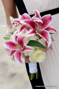 Heiraten in Miami  Florida Hochzeiten (3)